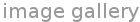 image gallery